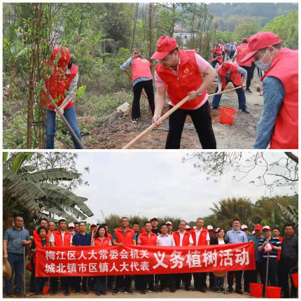 植树活动.jpg