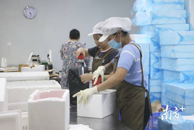 在梅州客系食品有限公司，工人们将盐焗鸡打包，准备装车。