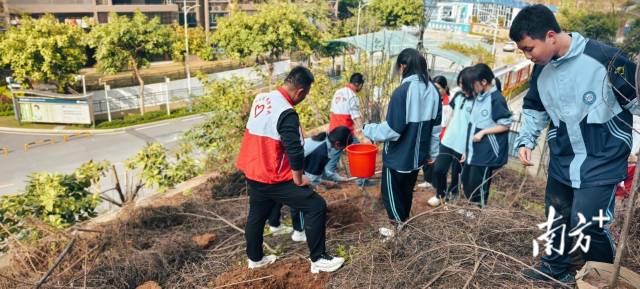 龙东社区植树5.jpg