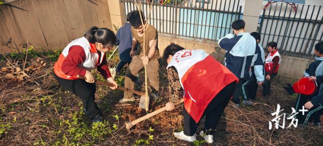 龙东社区植树6.jpg