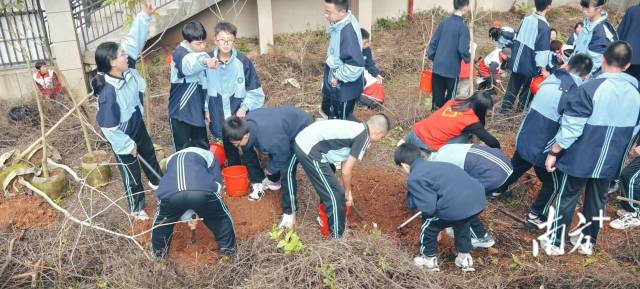 龙东社区植树7.jpg