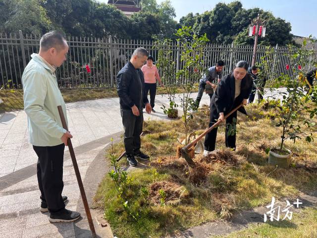 人大植树1.jpg