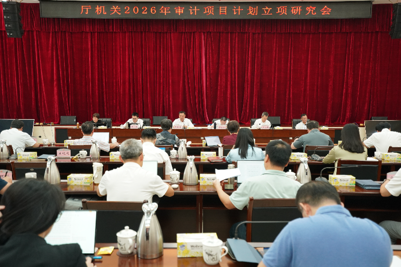 省审计厅召开2026年审计项目计划立项研究会 省审计厅召开2026年审计项目计划立项研究会