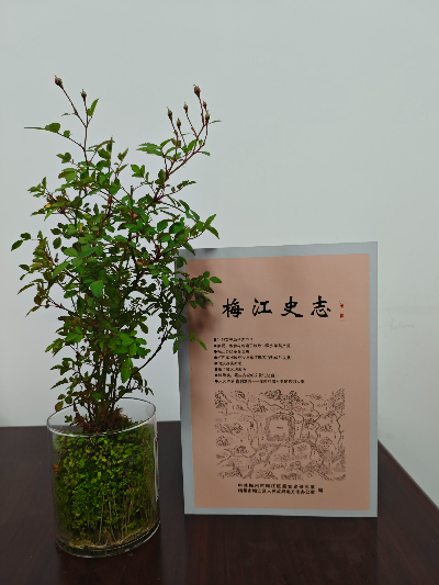 eb1f7a53eb6205dc3db37ad040f8d613_compress.jpg