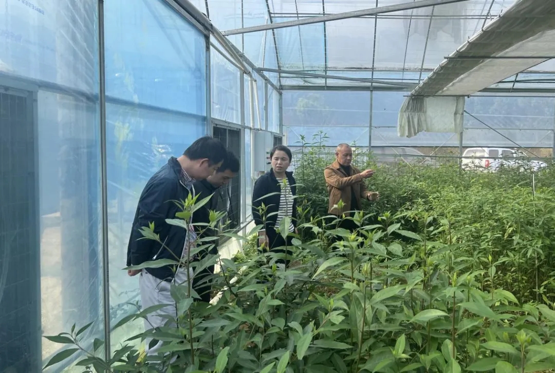 省厅派出审计二处