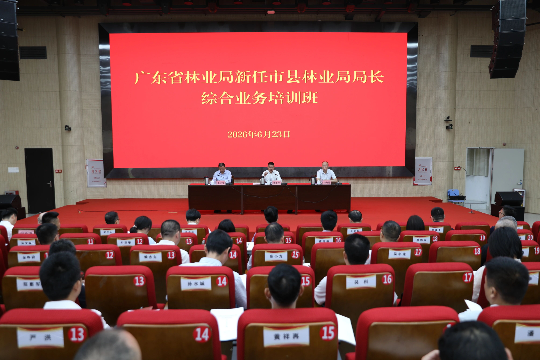 4916907.png