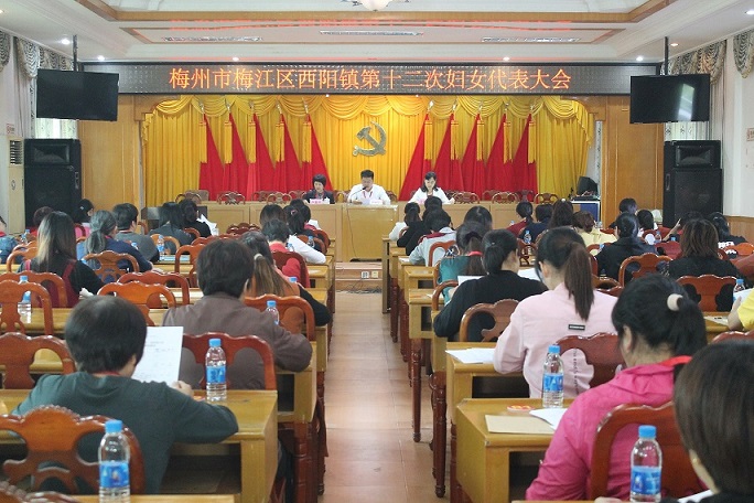 丘惠玲指出,西阳镇妇联紧紧围绕履行职能,服务大局,着眼于党政所急