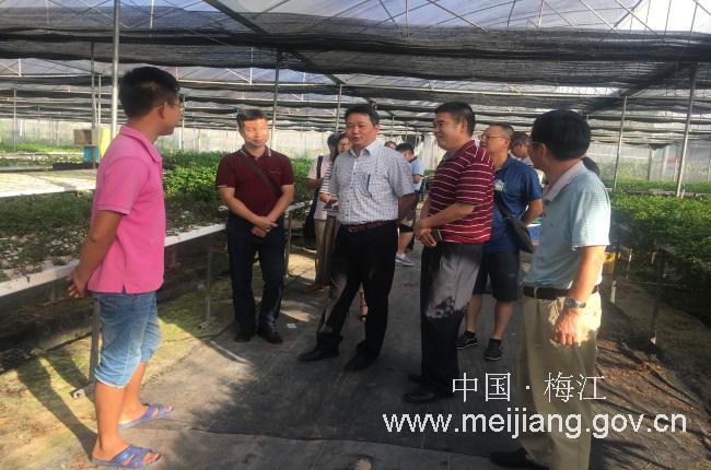 mmexport1508121032975_编辑.jpg