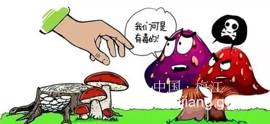 图片4.png