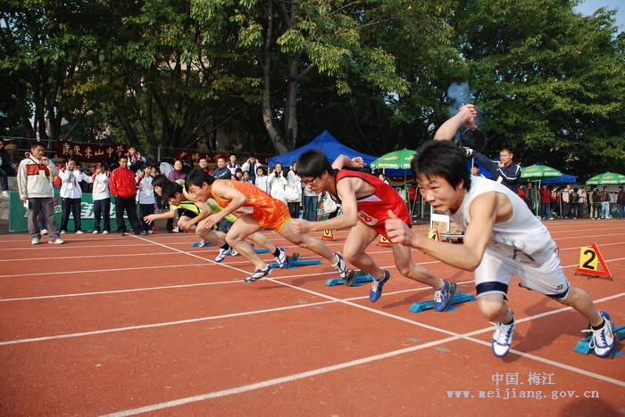 ÷����2009����Сѧ�������˶����Ļ
