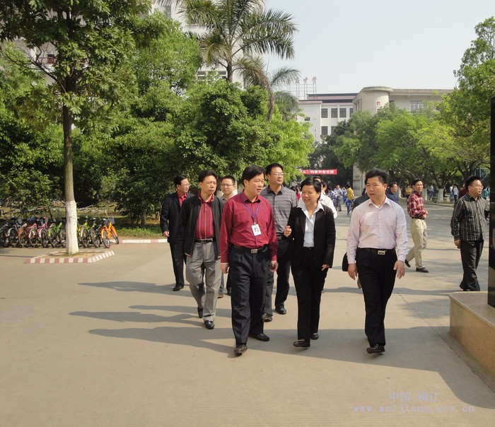 市区领导到梅江区嘉应中学检查种树情况