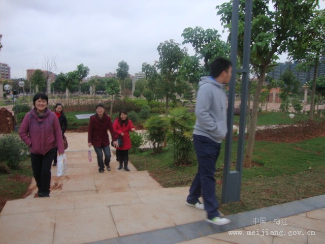 我区各学校积极开展活动庆祝<em>三八</em><em>妇女节</em>